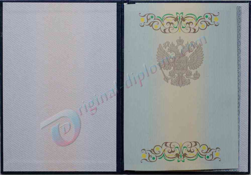 Диплом магистра 2011-2013